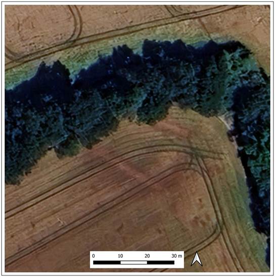 Cropmarks showing an unrecorded long barrow at Morestead Hampshire